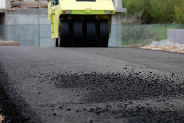 Best Residential Driveway Paver Services  in Farmington, MN