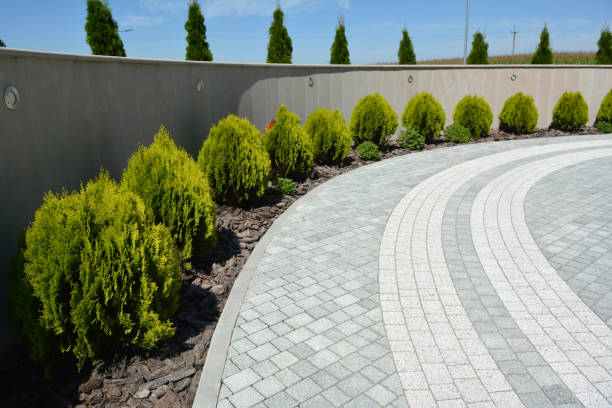Best Brick Driveway Pavers  in Farmington, MN